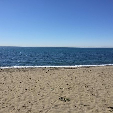 Beachside إِستيبونا المظهر الخارجي الصورة