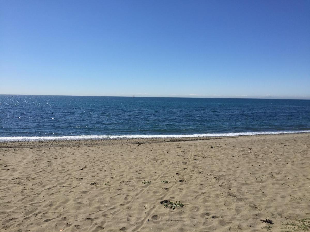 Beachside إِستيبونا المظهر الخارجي الصورة
